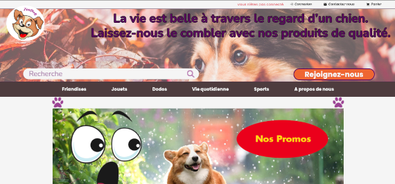 ecommerce